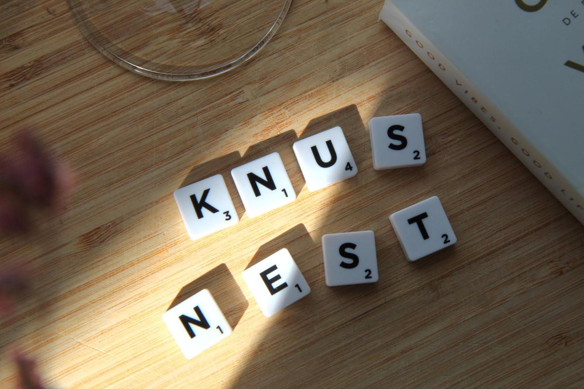 Buitenverblijf Nest Arnhem Eksteriør bilde